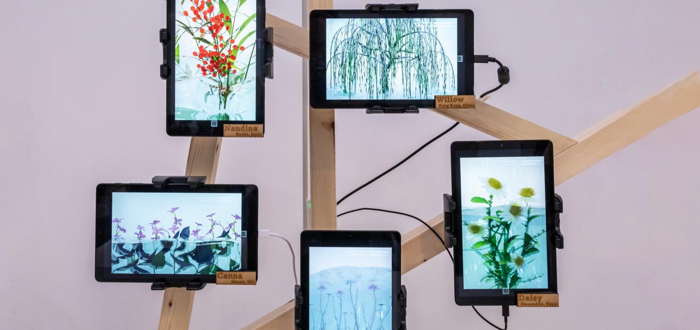 5 digital tablets displayed on pieces of wood in front of a peachy pink background. The tablets are showing botanical and floral images on their screens.