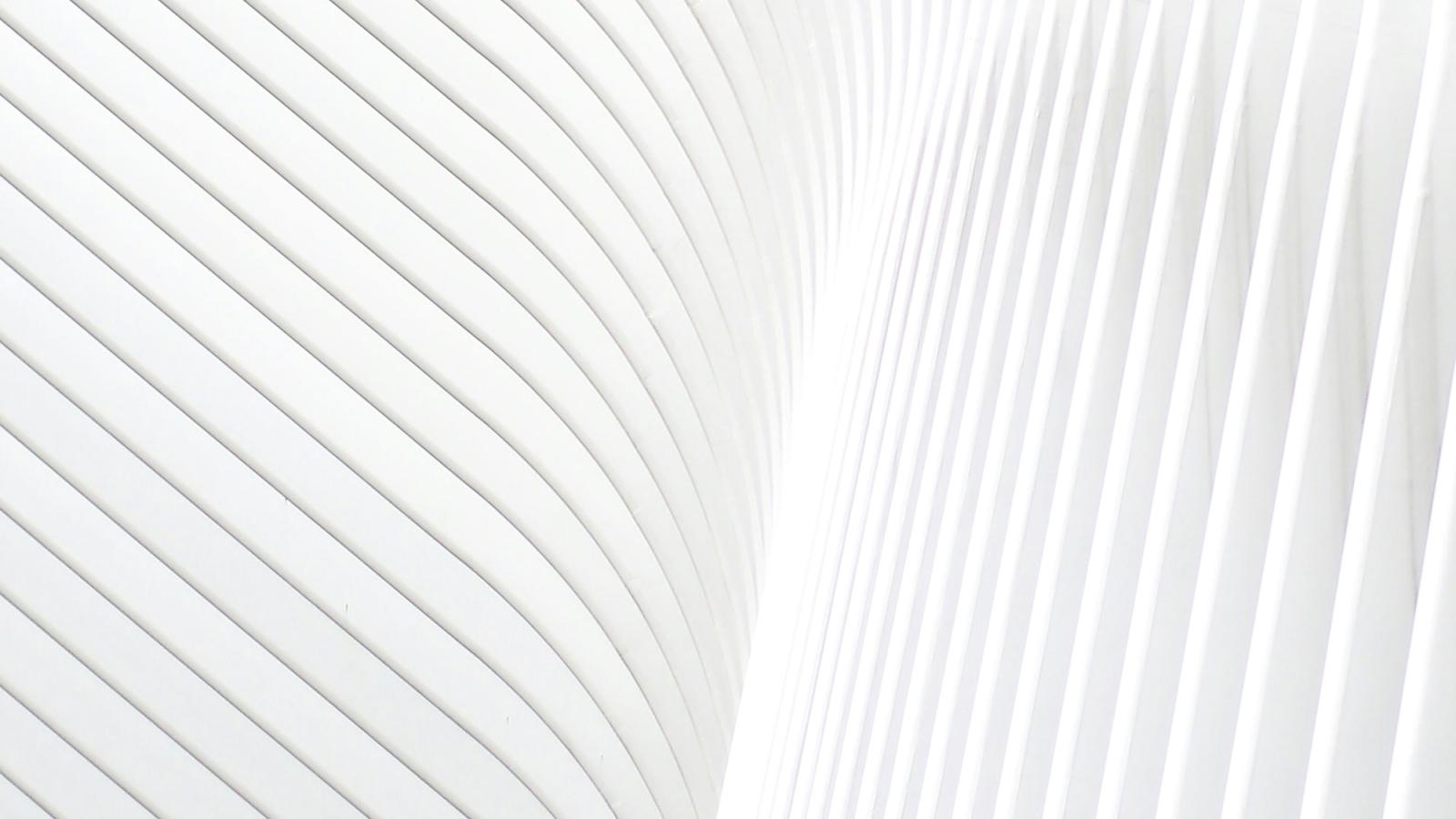 A white background made up of curved and straight lines and shadows.