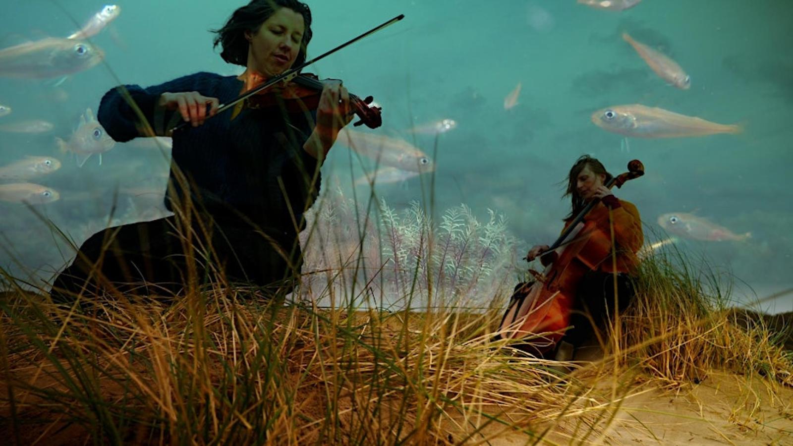 Two musicians are playing instruments in a hay field in the wind. The background looks like a sky but instead of clouds there are silver fish.
