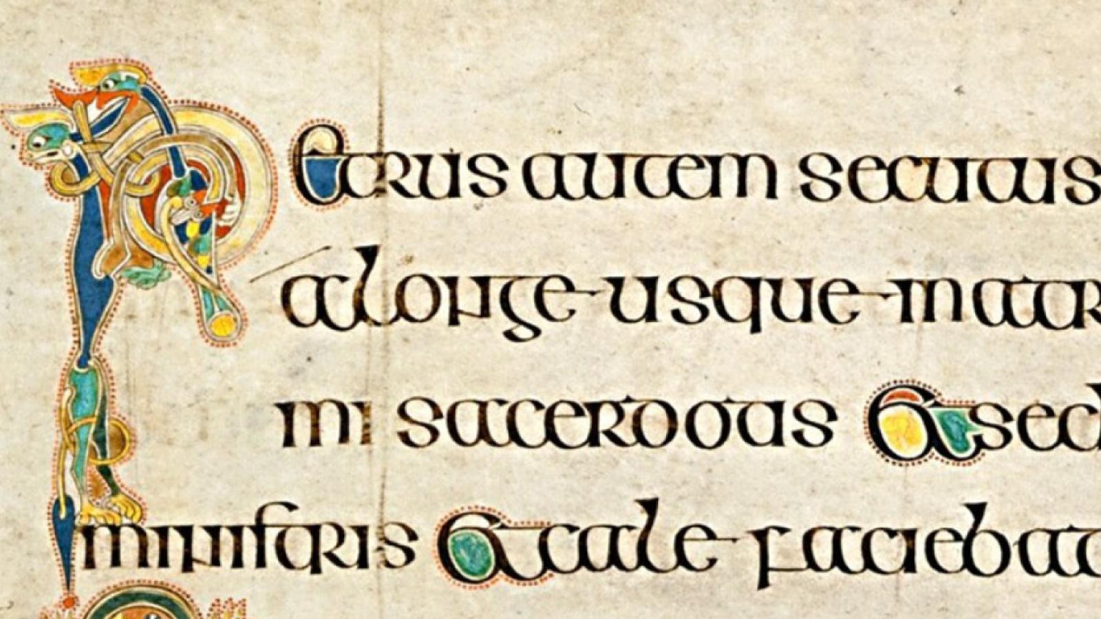 A close up of an intricately drawn letter P from the Book of Kells,