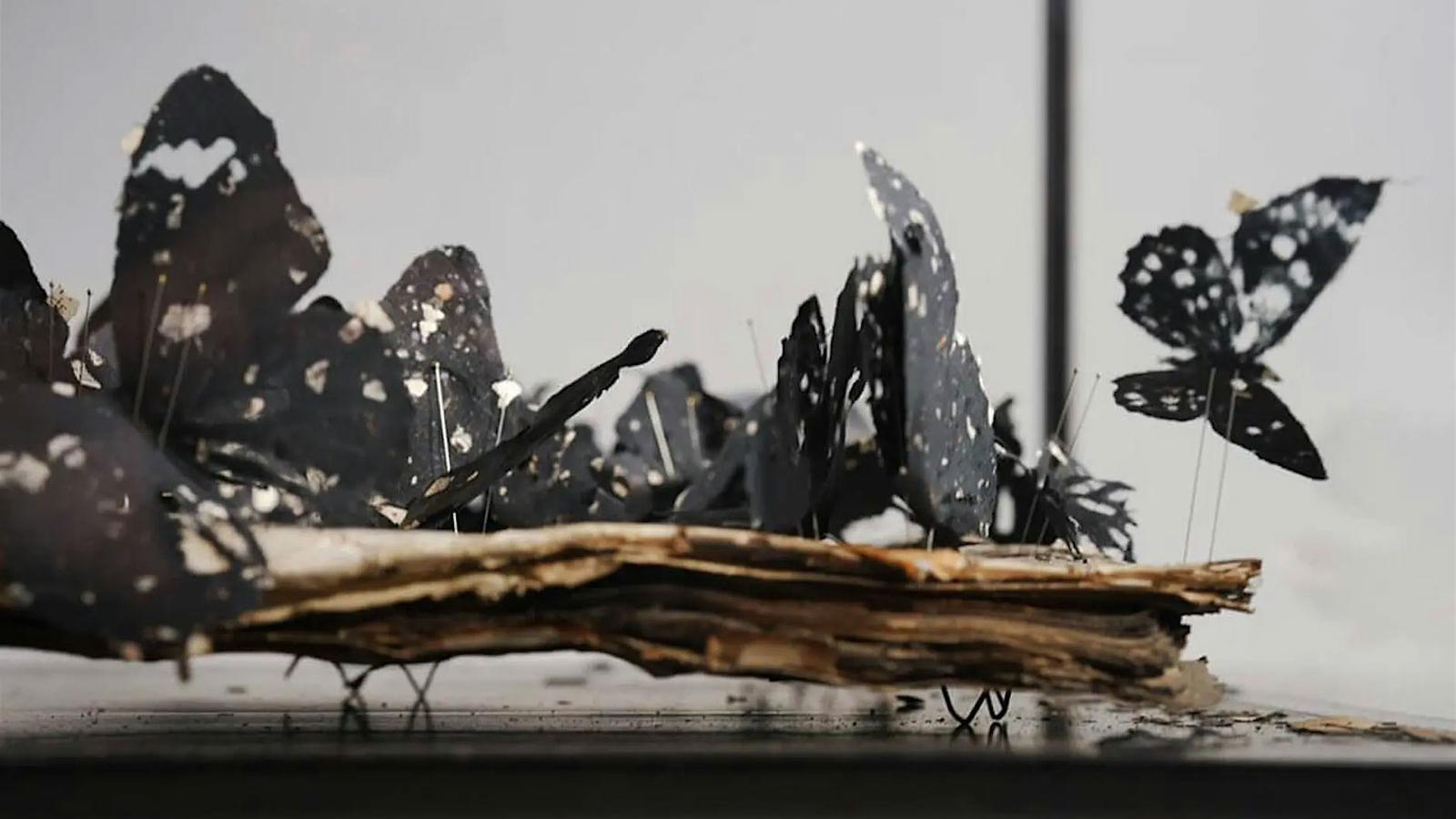 A close up shot of a structure containing pins and butterflies pinned down.