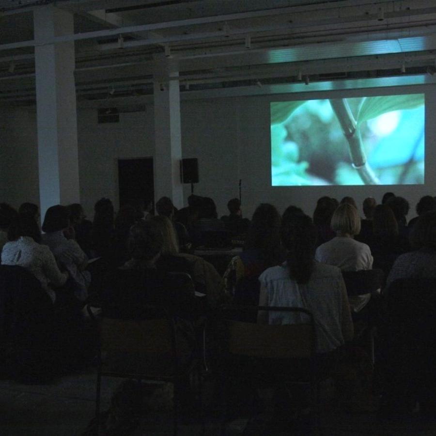 Claire Walsh's work being watched by an audience