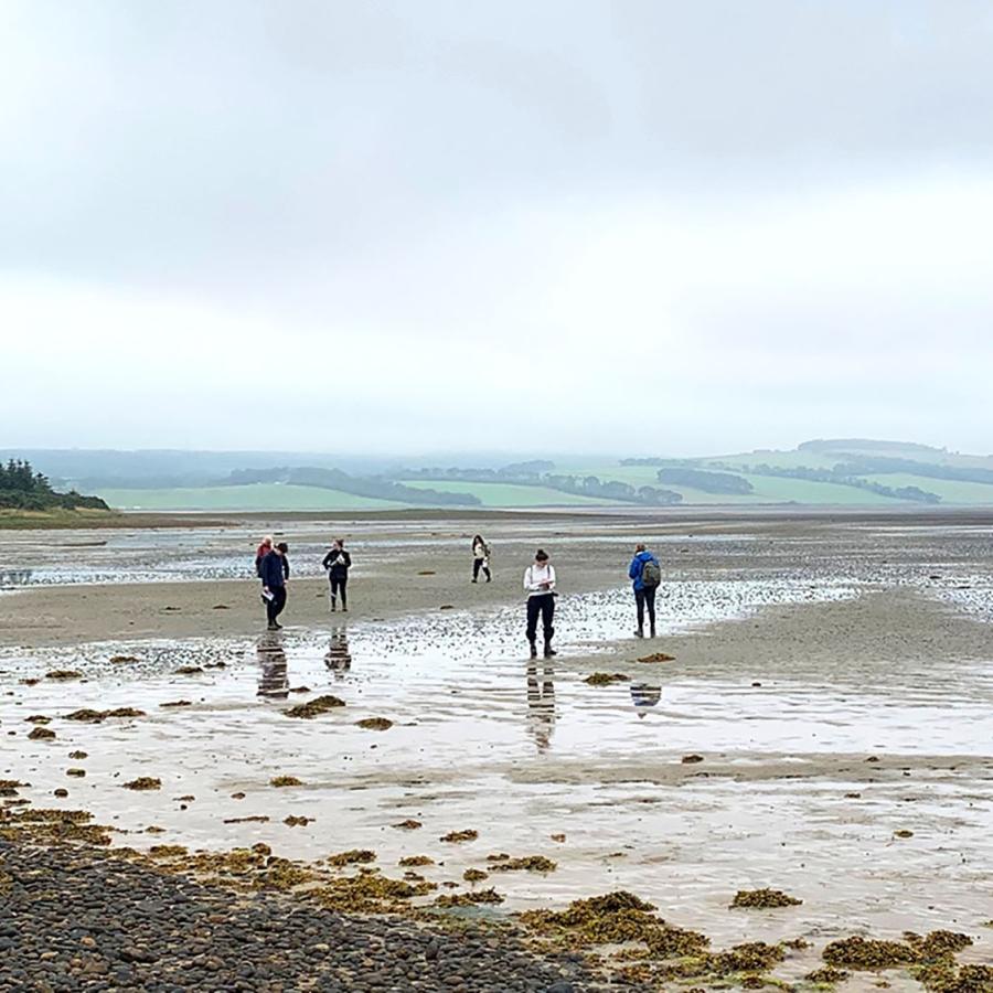 A group of people in the distance are standing on a beach where the tide has just gone out. There are trees and hills in the background.