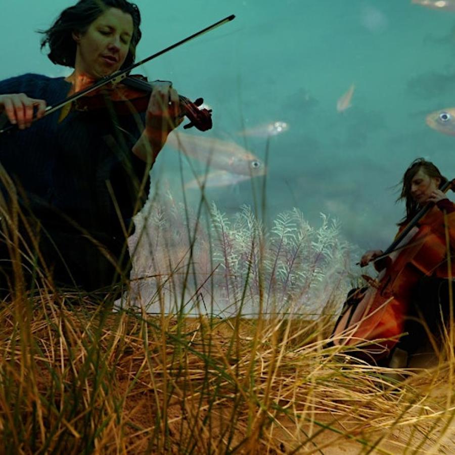 Two musicians are playing instruments in a hay field in the wind. The background looks like a sky but instead of clouds there are silver fish.