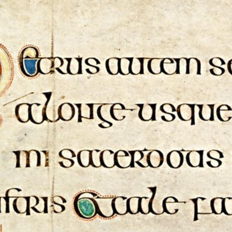 A close up of an intricately drawn letter P from the Book of Kells,