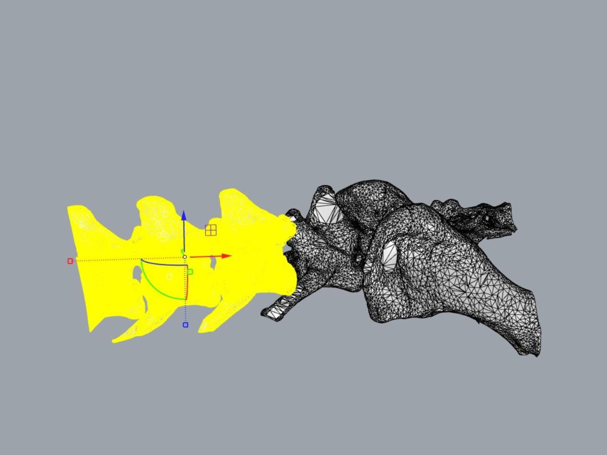 A computer image showing a 3D model being worked on