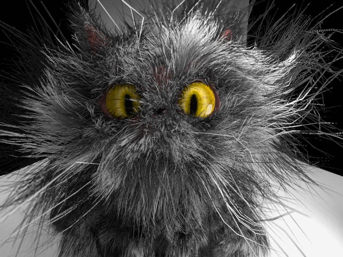 An image from the animation - a grey and black, very furry, slightly wild looking cat, is staring into the camera with bright yellow eyes