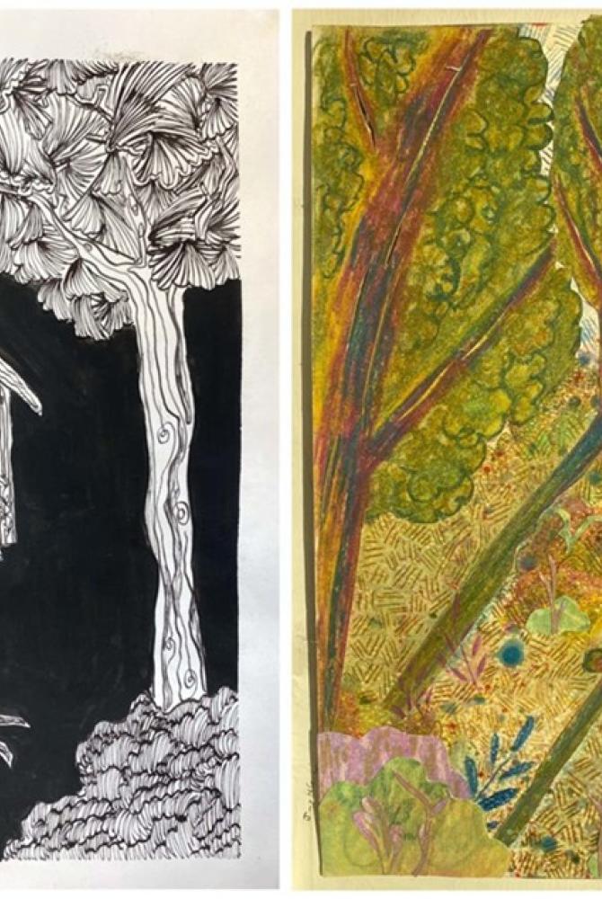two drawings side-by-side of nature images. on the left, a black and white drawing of a birdhouse and tree, and on the right, a colourful drawing of a forest
