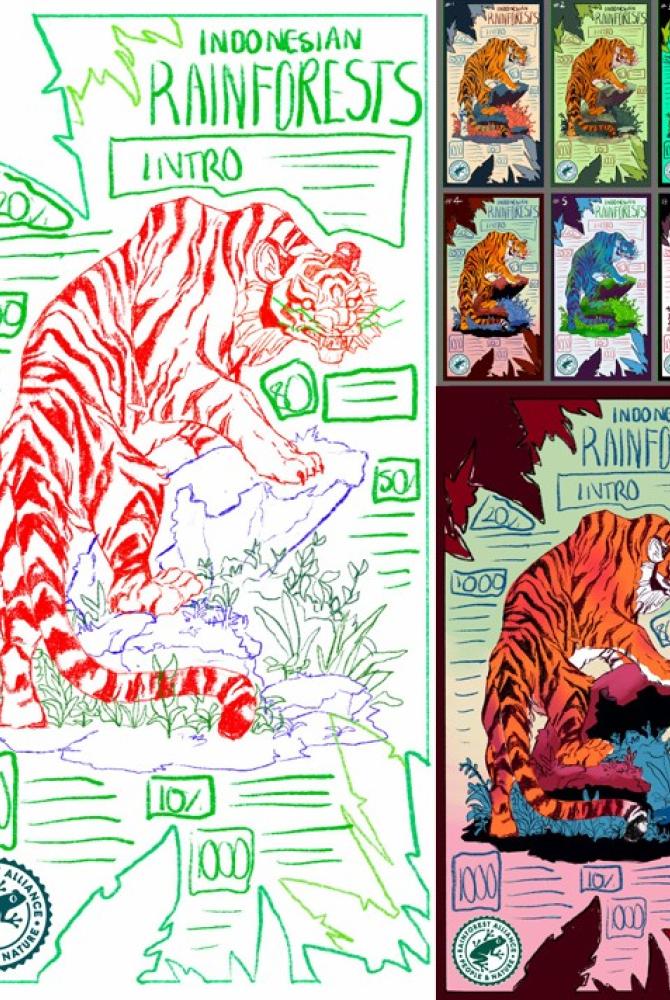 a page of drawings of a tiger and the text 'Indonesian Rainforests', in the style of a leaflet or information poster