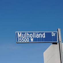 Neil Mulholland profile picture