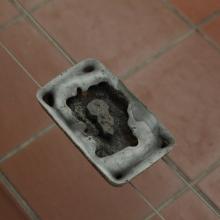 Sinéad Kempley profile picture