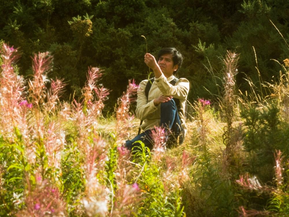 A person stands in a wildflower meadow