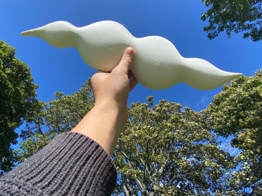 A piece of the soundwave inspired artwork is held aloft, against a background of blue sky and trees.