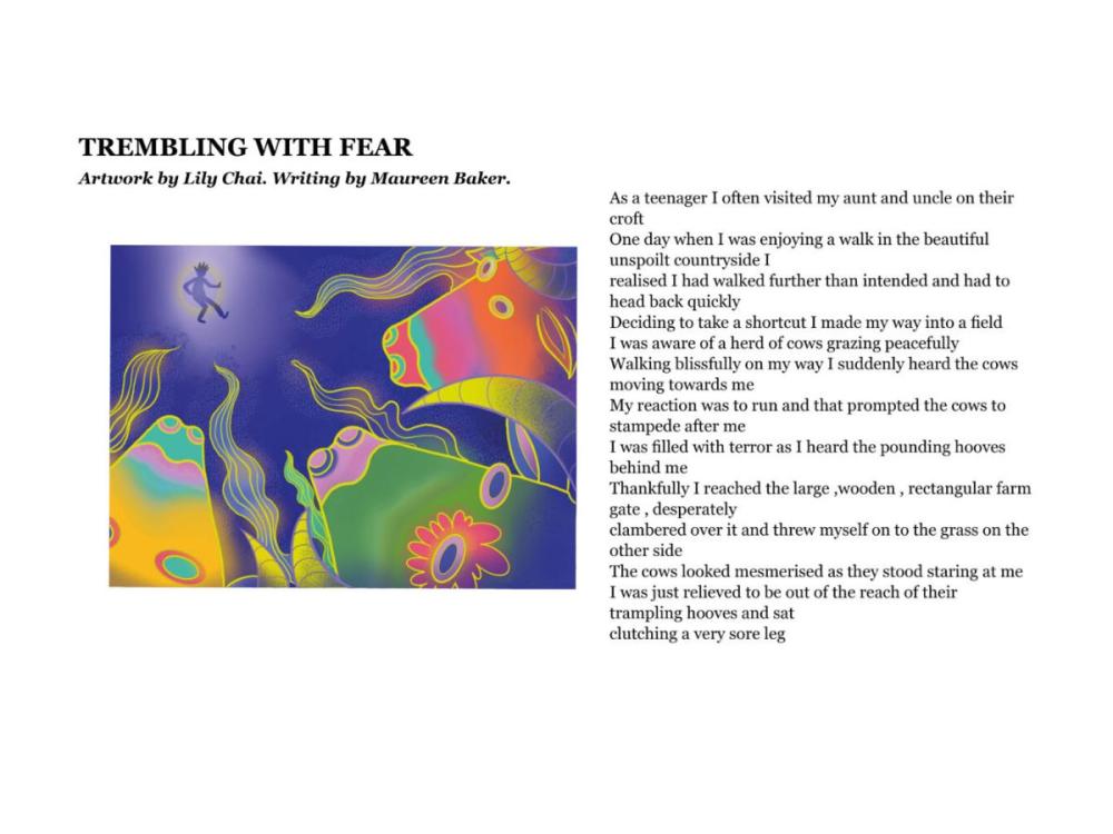 The content of one of the postcards, laid out with the illustration to the left and the story to the right. The image shows an abstract, colourful image of three cows' heads, seen from above. they are looking towards the outline of a person in the distance.