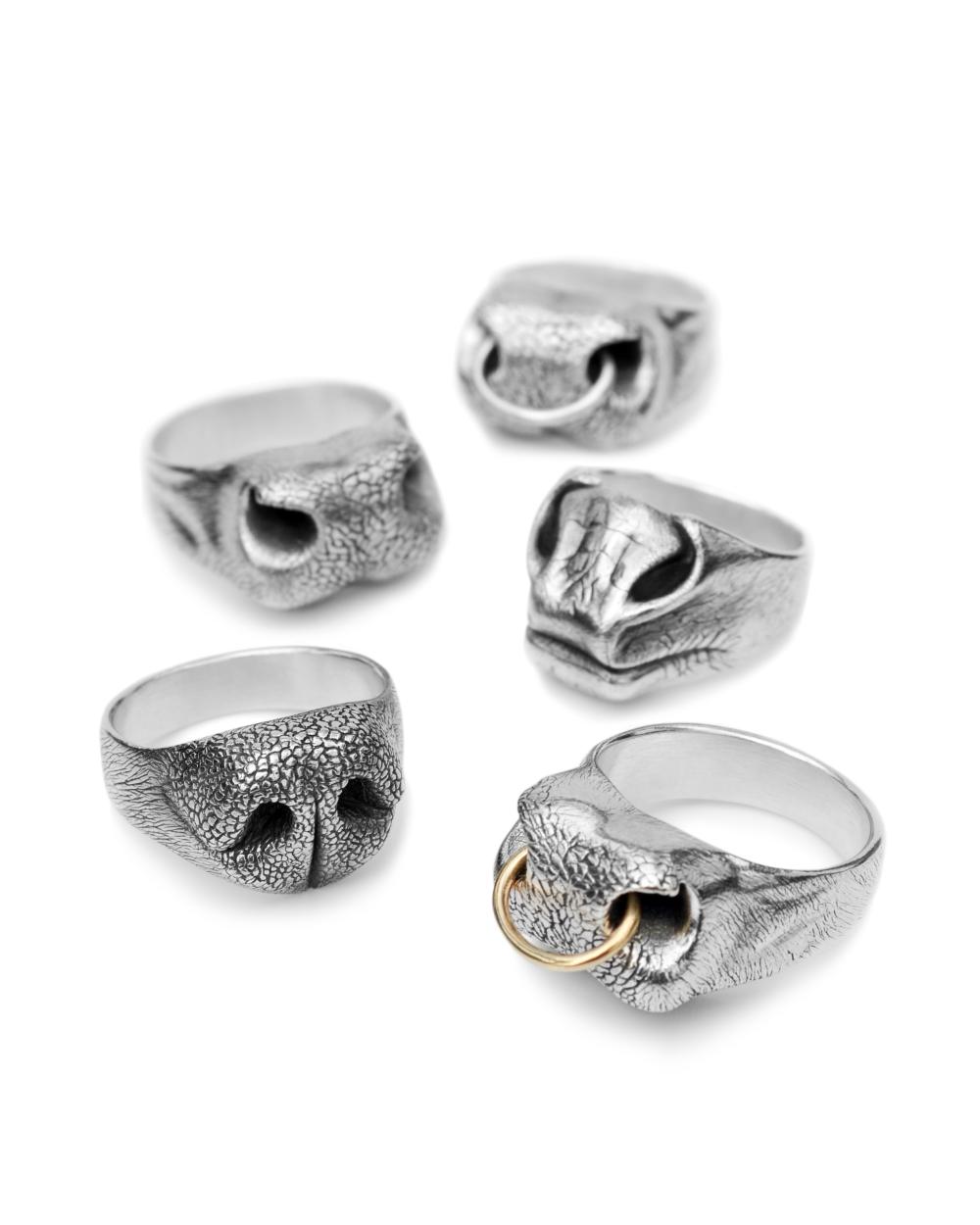 Five Dog Nose Rings by Kathryn Reid