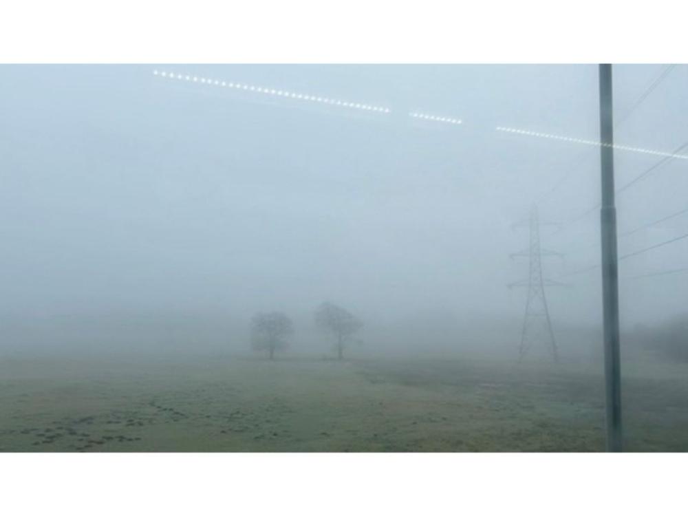 A very misty image of a landscape. We can just make out yellowish green land, two trees or bushes, and an electricity pylon.