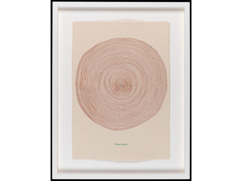 A print showing the numerous concentric rings of a cross section of a tree.