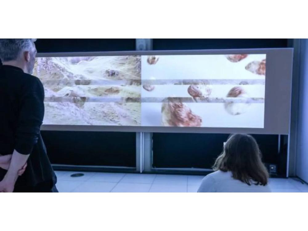 Two people lookng at a video screen of the Scottish landscape