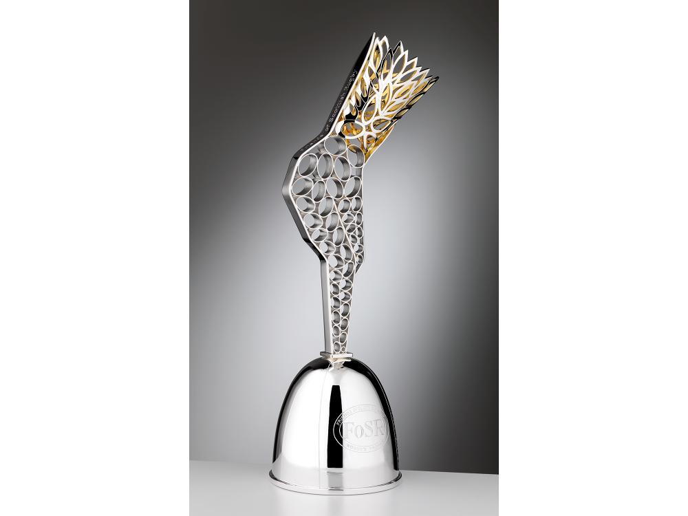 A trophy in silver against a grey background.  The base is formed like a rugby ball, from it emerges an abstract female form made of oval shapes that transforms to golden flame shapes reaching upwards. 