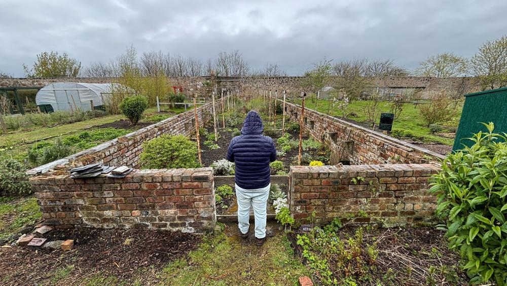 A man standing in front of a low-walled garden with plants inside.