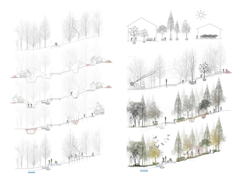 a series of line drawings showing the changes to a stretch of land through the seasons