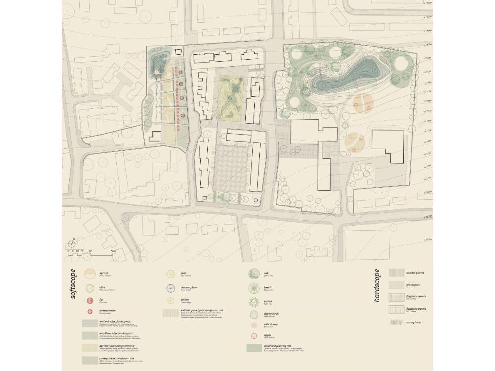 A plan, showing gardens, with types of tree and planting indicated.