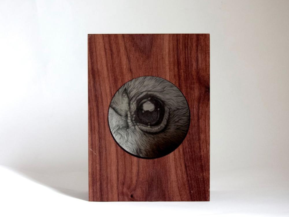 A studio photograph of a box made of dark wood, with a circular opening in the front. Through it, we can see a close-up, detailed pencil drawing of a bat's eye looking back at us.