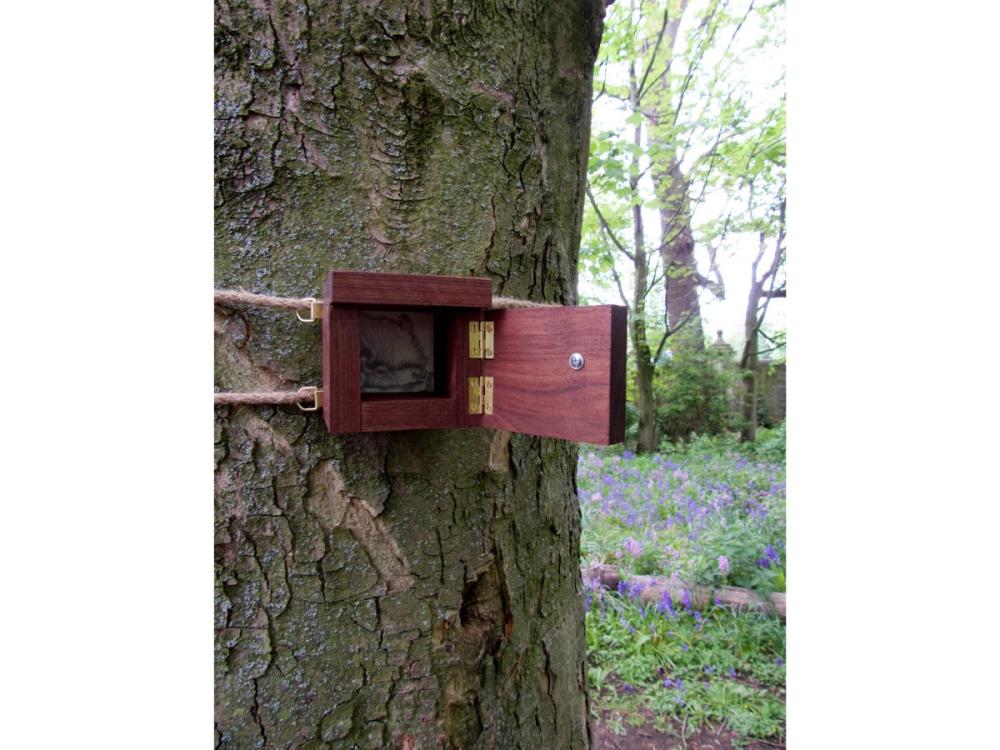 A box made of dark wood, tied to a tree trunk with rope. The door on the front is open, revealing a detailed close-up pencil drawing of a bat's head, one eye clearly visible to the viewer. We can see bluebells and trees in the background.