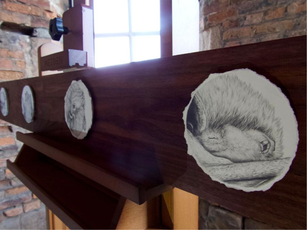 A plank of dark wood on an easel, with circular pencil drawings on it. They are close up, detailed images of bats.