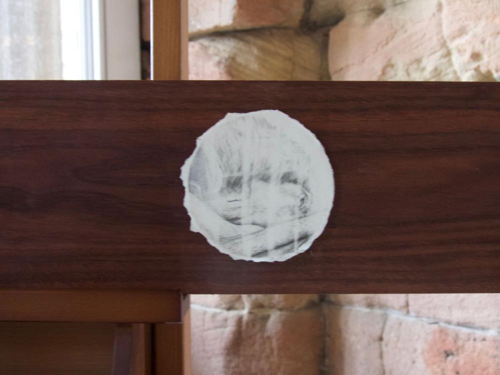 A circular pencil drawing mounted on a plank of dark wood. It looks to be a close up detailed drawing of a bat, but several vertical lines have been wiped clear with an eraser.